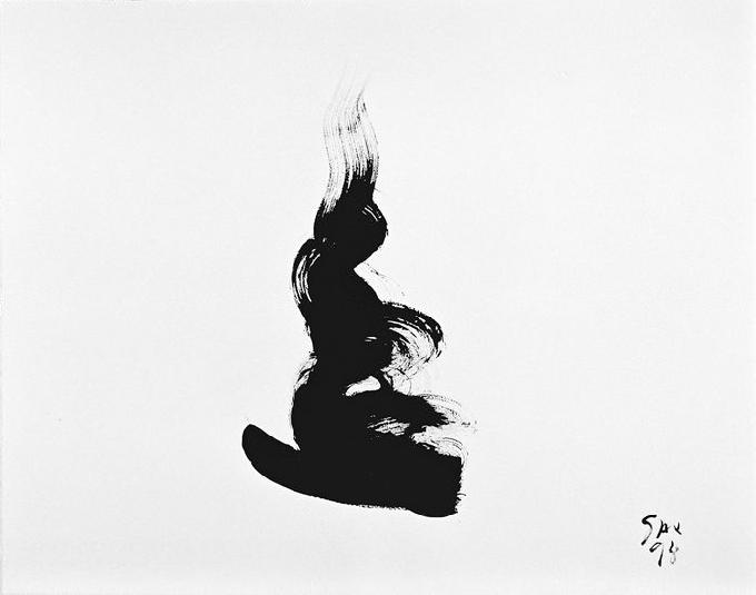 6-1998 se transformant 45x56 chf 1500.jpg